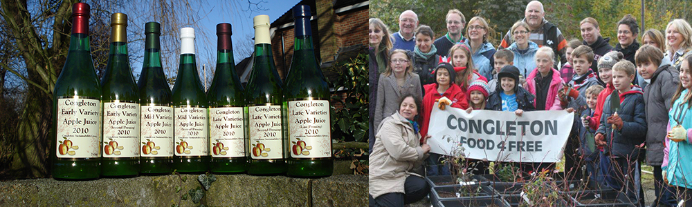 Apple juice project and congleton food for free