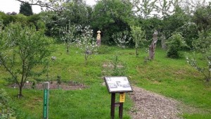 Forest Garden